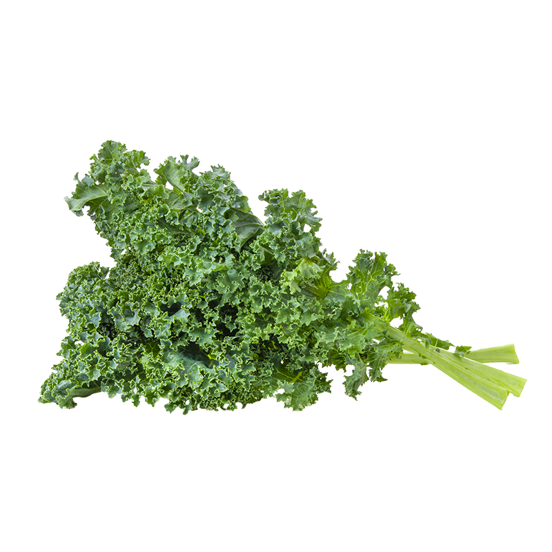 Federkohl